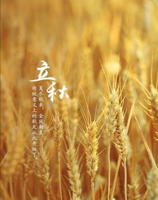 秋已至，夏已末